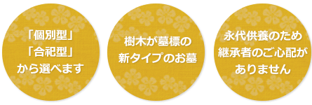 樹木葬オリーブの丘の特徴：１．「個別葬」「合祀葬」から選べます。２．樹木が墓標の新タイプのお墓。３．永代供養のため継承者のご心配がありません